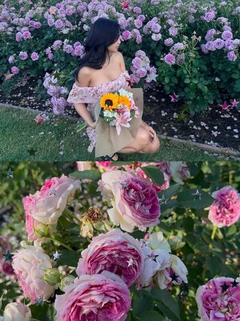 Full leaked Alodiamarie page private onlyfans photo