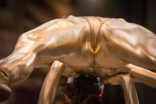 Full leaked Asian adult event private onlyfans photo