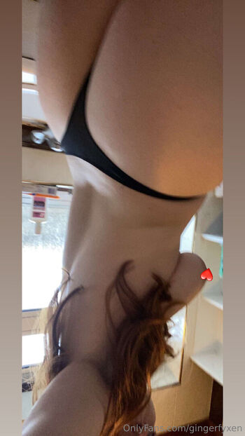 gingerfyxen