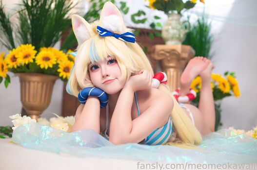 Kawaiimeochan