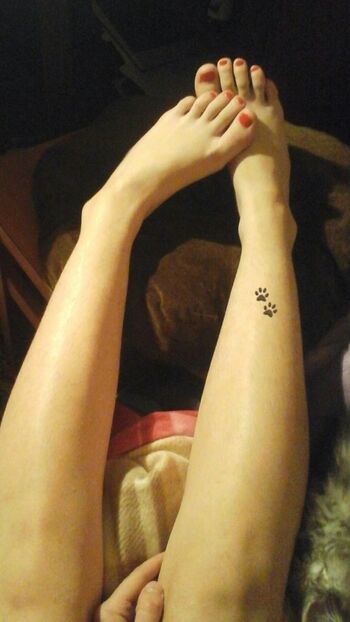 perelin_night_forest