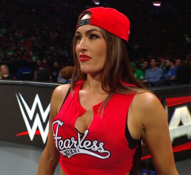 The Bella Twins