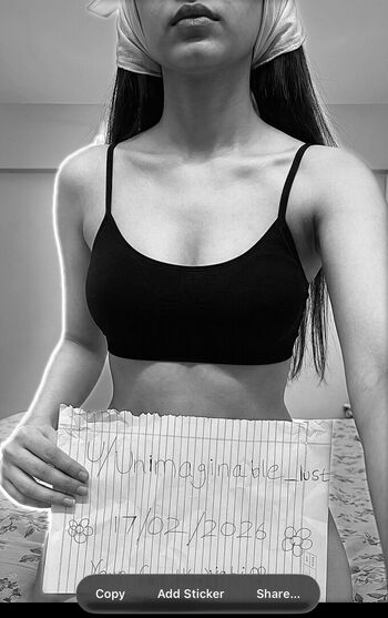 The_ Perfect_Fuck_Toy