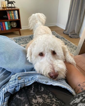 wellbeingwithabigail